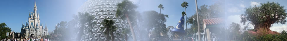 Jenny goes Florida header image 1