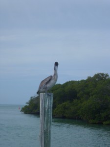 Key West (11)