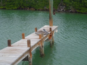 Key West (9)