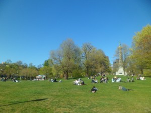 Boston Common Park (6)
