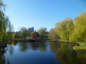 Boston Common Park (9)