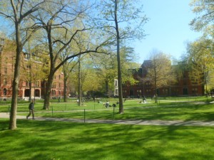 Havard University (2)