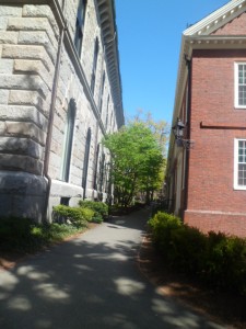 Havard University (3)