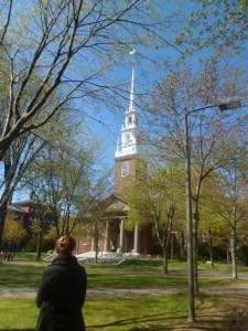 Havard University (7)
