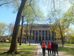 Havard University (8)
