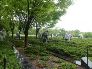Washington D.C (16)