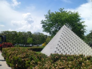Washington D.C (43)