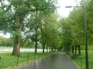 Washington D.C (6)