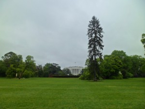 White House