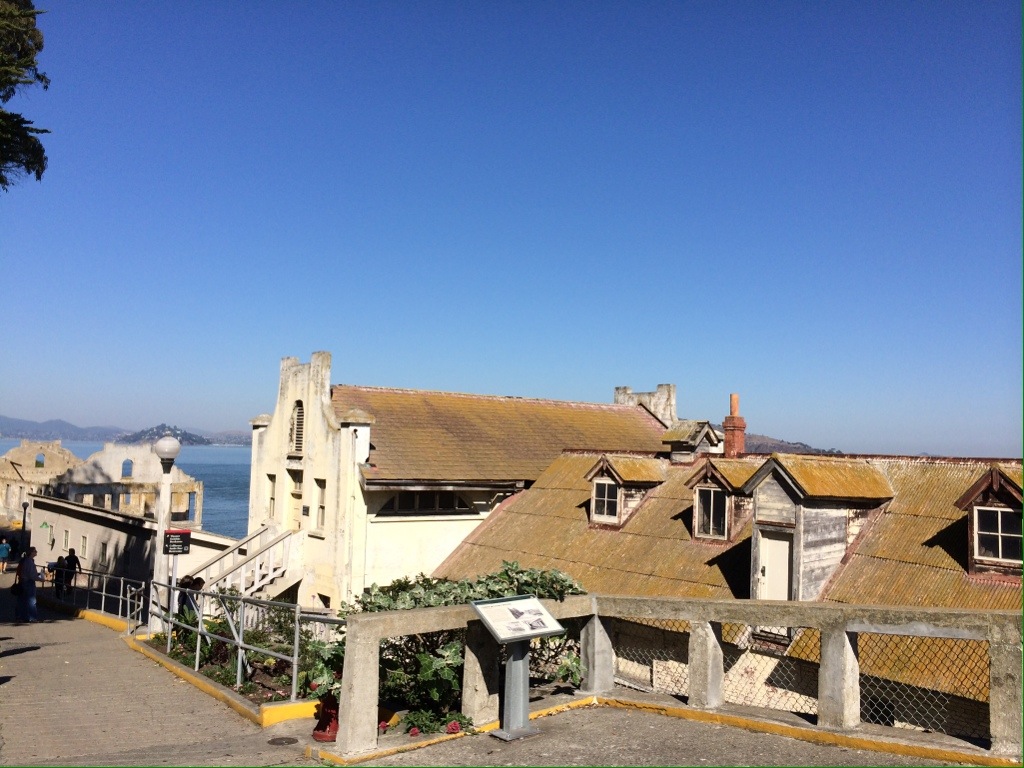20131019-194326.jpg