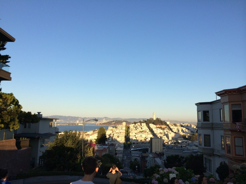 20131030-172445.jpg