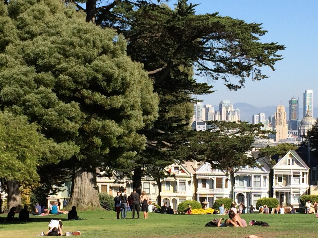 20131030-174407.jpg