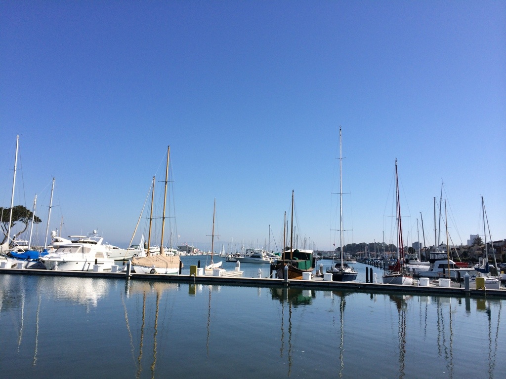 20131030-174549.jpg