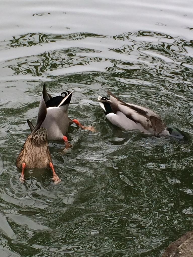 20131030-175326.jpg