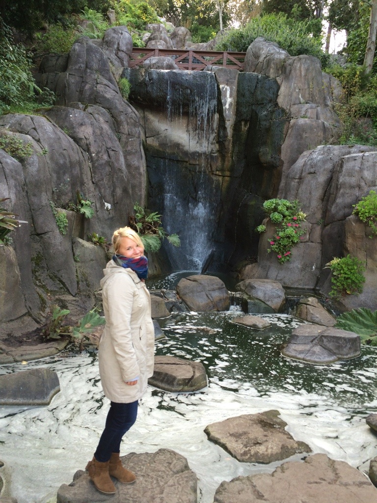 20131030-175421.jpg