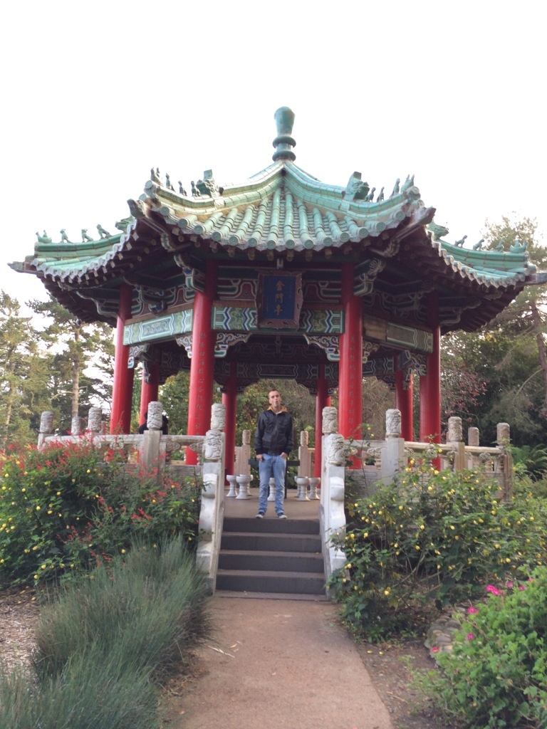 20131030-175434.jpg