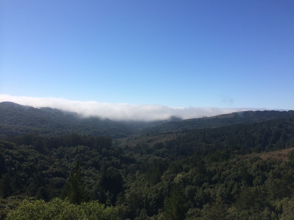 20131030-180545.jpg