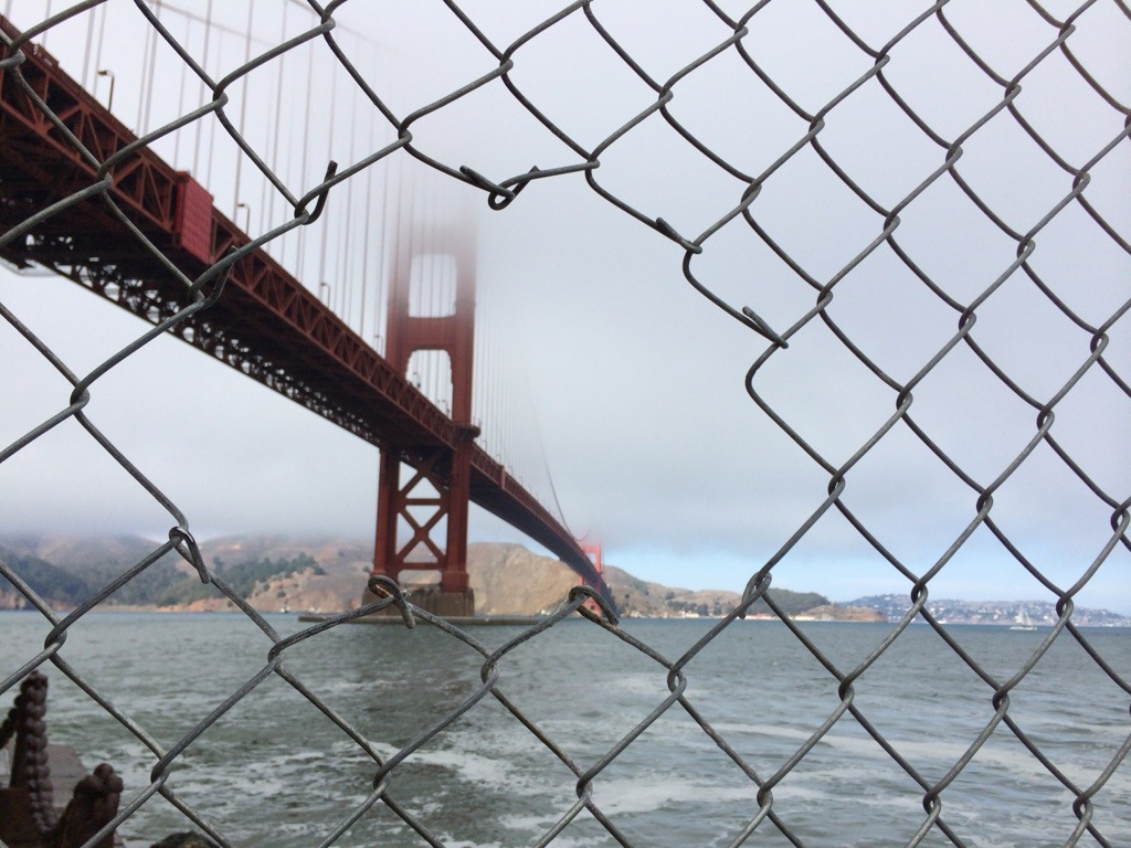 20131030-180835.jpg